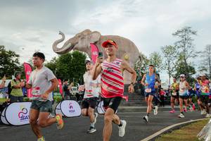 BIB: 
                            <button type="button" onclick="openModal(26528283)" class="btn btn-primary btn-sm float-right btn-popup" data-toggle="modal" data-target=".modal-high-quality">
                        <i class="fas fa-shopping-cart"></i> Add to Cart
                    </button>
                                            <button type="button" onclick="isThisMe(26528283, true)" class="btn btn-success btn-sm float-right btn-popup btn-isme hidden" data-toggle="tooltip" data-placement="bottom" title="นี่คือรูปของคุณใช่ไหม คลิกที่นี่เพื่อเอาเข้าอัลบั้ม">
                        <i class="fas fa-plus"></i> Add to album
                    </button>
                    <button type="button" onclick="isThisMe(26528283, false)" class="btn btn-warning btn-sm float-right btn-popup btn-isnotme hidden">
                        <i class="fas fa-ban"></i> Remove from album
                    </button>